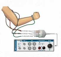 Electromyography